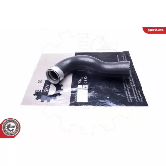 Gaine de suralimentation ESEN SKV 43SKV479