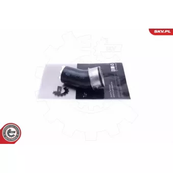 Gaine de suralimentation ESEN SKV