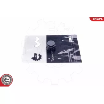 Bouchon,Bride de liquide de refroidissement ESEN SKV 43SKV620