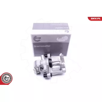 Étrier de frein arrière gauche ESEN SKV 44SKV173