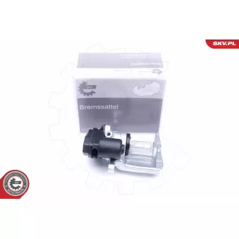 Étrier de frein arrière gauche ESEN SKV 44SKV437