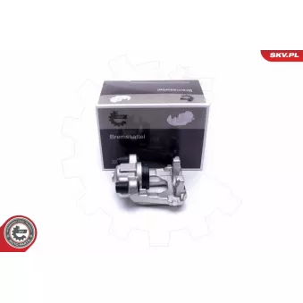 Étrier de frein ESEN SKV 44SKV454