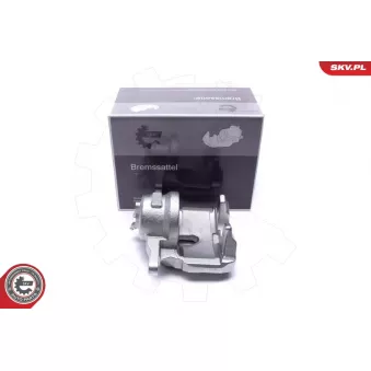 Étrier de frein ESEN SKV