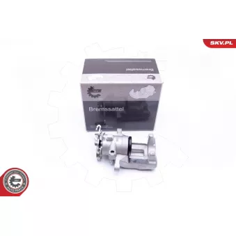 Étrier de frein arrière gauche ESEN SKV 45SKV113