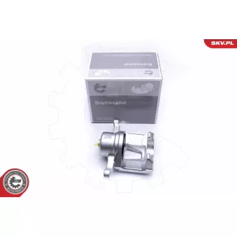 Étrier de frein avant droit ESEN SKV
