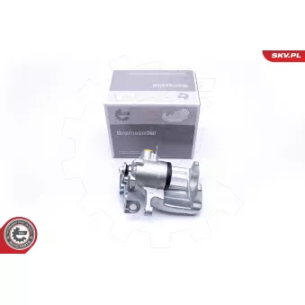 Étrier de frein arrière gauche ESEN SKV 45SKV153