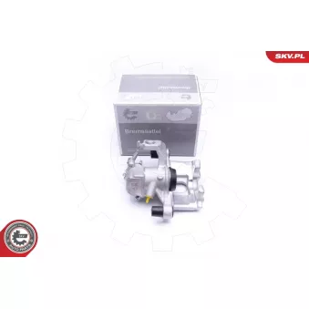 Étrier de frein arrière droit ESEN SKV 45SKV164