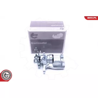 Étrier de frein arrière gauche ESEN SKV 45SKV333