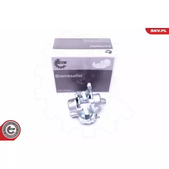 Étrier de frein arrière gauche ESEN SKV