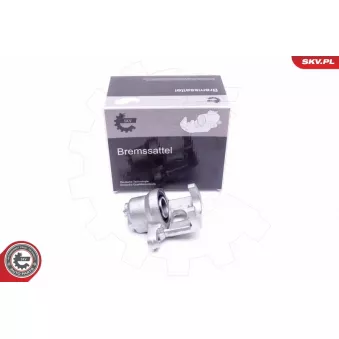 Étrier de frein arrière gauche ESEN SKV 45SKV613