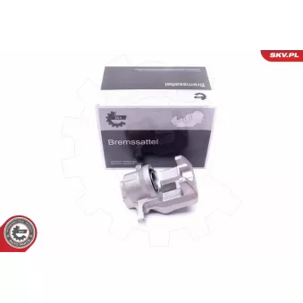 Étrier de frein arrière gauche ESEN SKV 45SKV813