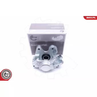 Étrier de frein arrière droit ESEN SKV 46SKV024