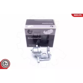 Étrier de frein arrière gauche ESEN SKV