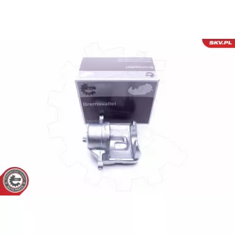 Étrier de frein avant gauche ESEN SKV