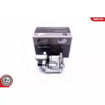 Étrier de frein arrière droit ESEN SKV 46SKV594