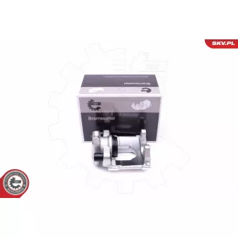 Étrier de frein arrière gauche ESEN SKV 46SKV603