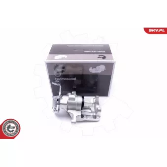 Étrier de frein arrière gauche ESEN SKV