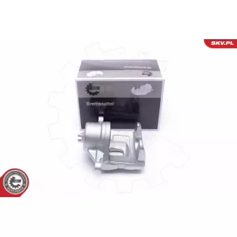 Étrier de frein ESEN SKV