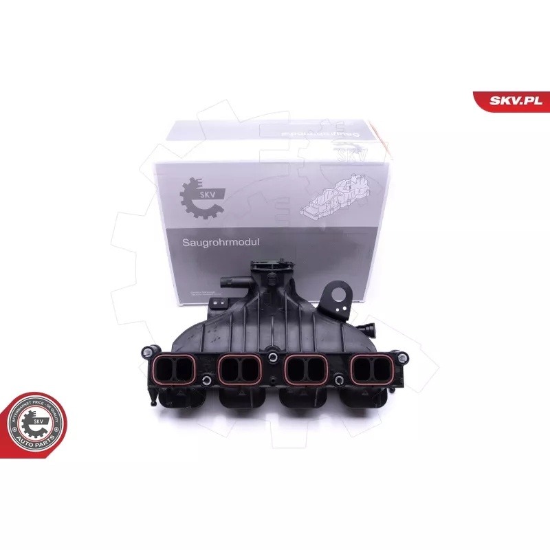 Module de tube d'admission ESEN SKV 49SKV001