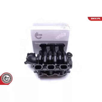 Module de tube d'admission ESEN SKV 49SKV002