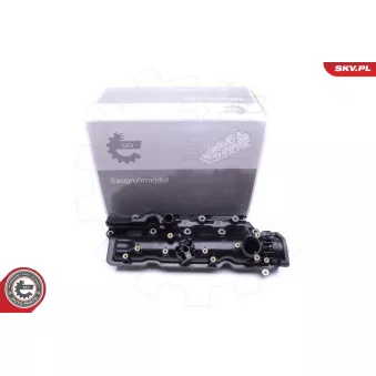 Module de tube d'admission ESEN SKV 49SKV005