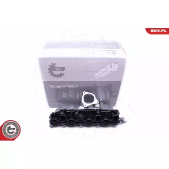 Module de tube d'admission ESEN SKV 49SKV006