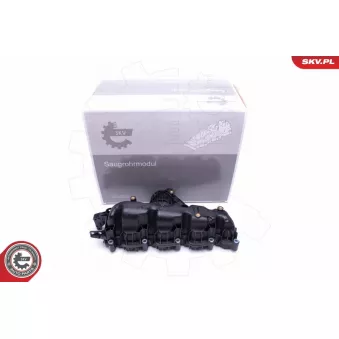 Module de tube d'admission ESEN SKV 49SKV007