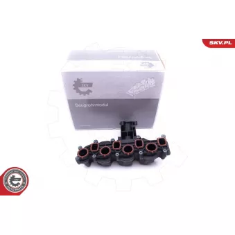 Module de tube d'admission ESEN SKV 49SKV008