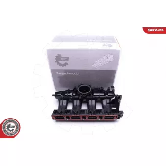 Module de tube d'admission ESEN SKV 49SKV009