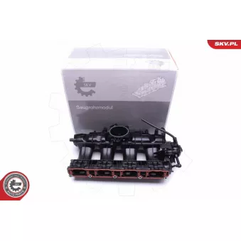 Module de tube d'admission ESEN SKV