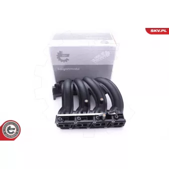 Module de tube d'admission ESEN SKV 49SKV011