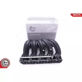 Module de tube d'admission ESEN SKV 49SKV012