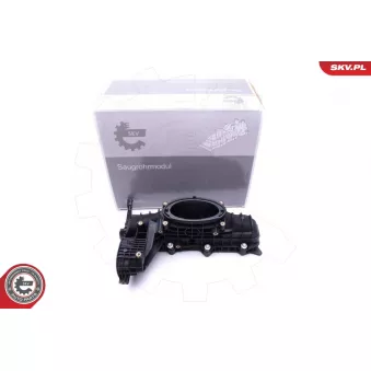 Module de tube d'admission ESEN SKV 49SKV014