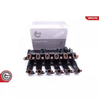 Module de tube d'admission ESEN SKV 49SKV016