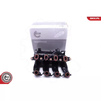 Module de tube d'admission ESEN SKV 49SKV017