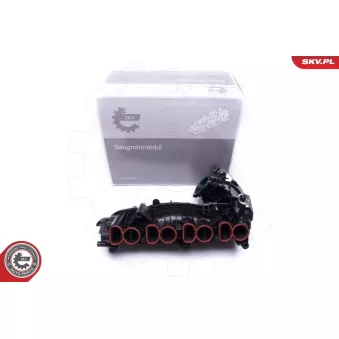 Module de tube d'admission ESEN SKV 49SKV018