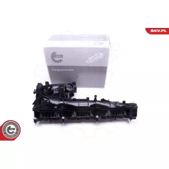 Module de tube d'admission ESEN SKV 49SKV019