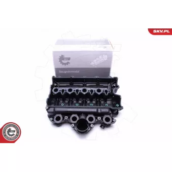 Module de tube d'admission ESEN SKV 49SKV021