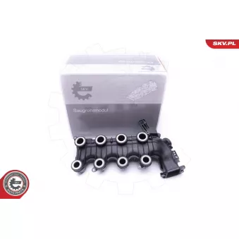 Module de tube d'admission ESEN SKV 49SKV022