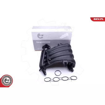 Module de tube d'admission ESEN SKV 49SKV023