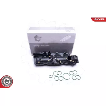 Module de tube d'admission ESEN SKV 49SKV024