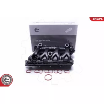 Module de tube d'admission ESEN SKV 49SKV025