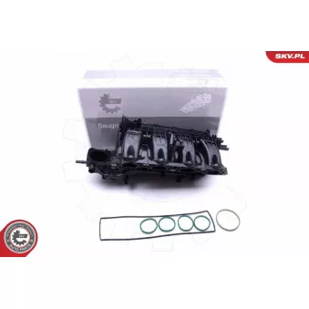 Module de tube d'admission ESEN SKV 49SKV026