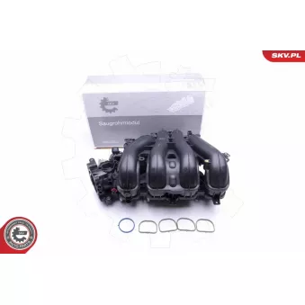 Module de tube d'admission ESEN SKV 49SKV027