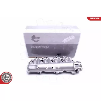 Module de tube d'admission ESEN SKV 49SKV029