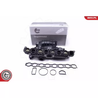 Module de tube d'admission ESEN SKV 49SKV030