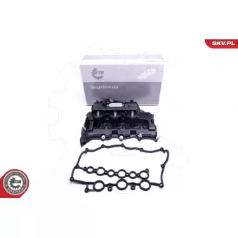 Module de tube d'admission ESEN SKV 49SKV031