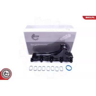 Module de tube d'admission ESEN SKV 49SKV032