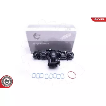 Module de tube d'admission ESEN SKV 49SKV033