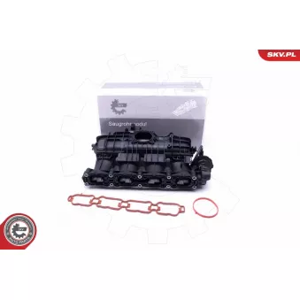 Module de tube d'admission ESEN SKV 49SKV035